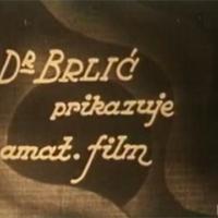 Sličice iz obiteljskog života (Dr. Ivan Brlić)